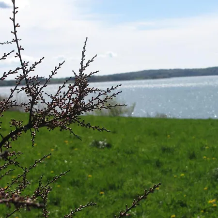 Tisvildehegn *